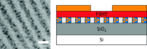 (a) TEM images of a blend of PS-P2VP with 20 wt % Au NPs; (b) Schematic representation of the memory devices used in this study